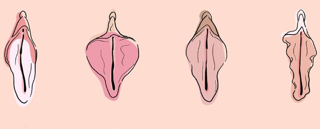 El preservativo para vulvas promueve el disfrute sexual de una manera segura. Crédito: Loop