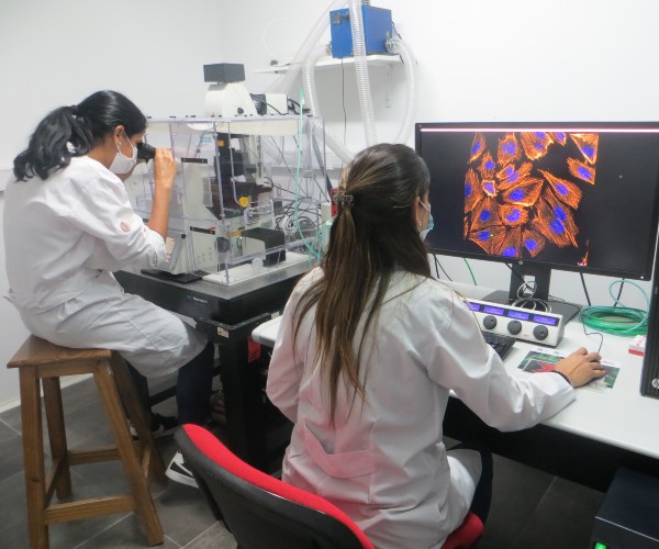 Dos científicas trabajan con el Microscopio Confocal, el equipo más caro de toda la Universidad. Créditos: Magalí Sánchez / UNQ