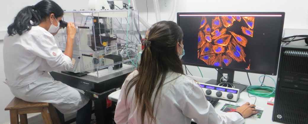 Científicas trabajando en uno de los laboratorios de la Universidad Nacional de Quilmes. Créditos: Magalí Sánchez