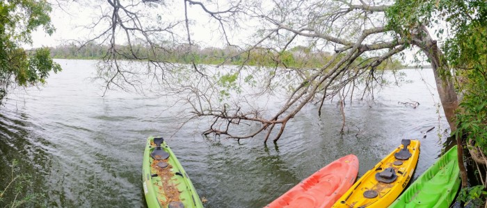 Laguna El Breal en El Impenetrable. Créditos Luciana Mazzini Puga  Agencia de Noticias Científicas