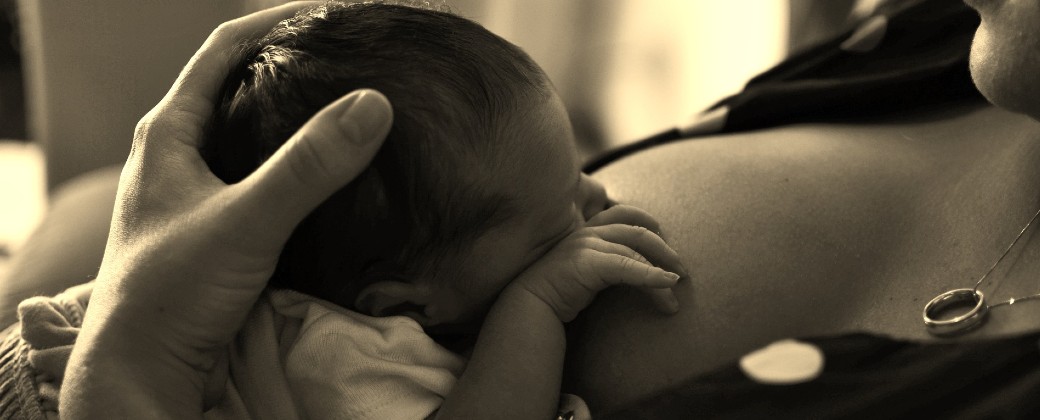La leche materna es tejido vivo, cambia su composición a lo largo del día en función de la información que le va pasando la saliva del/la lactante. Créditos: Pixabay.com.