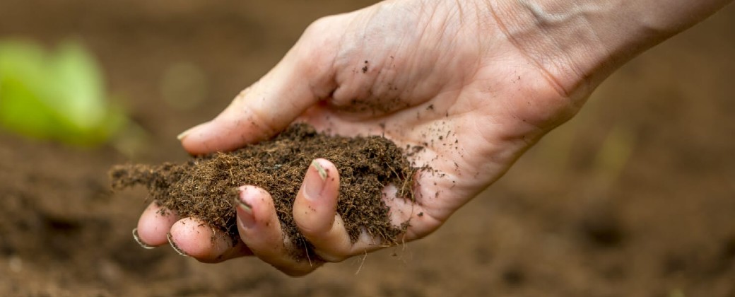 El suelo proporciona materias primas renovables y no renovables de utilidad para el ser humano. Crédito: eos