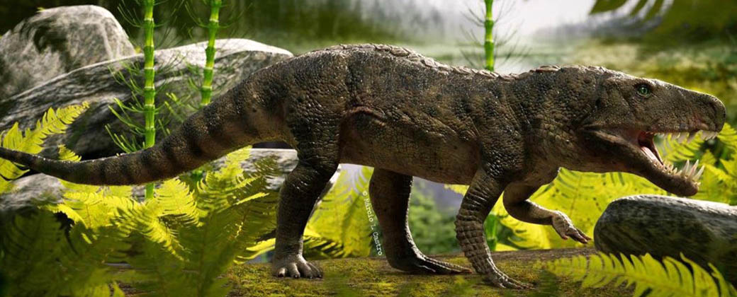 Los arcosaurios dominaron los ecosistemas terrestres, poco antes de la aparición de los dinosaurios.