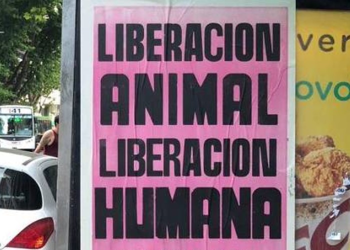 Cada vez son más los afiches con inscripciones veganas y antiespecistas. Créditos: https://www1.folha.uol.com.br/
