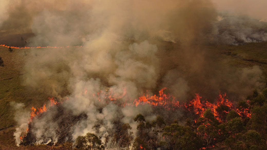 Se incendia “Yerbalito” el bosque de selva paranaense mas grande del Iberá