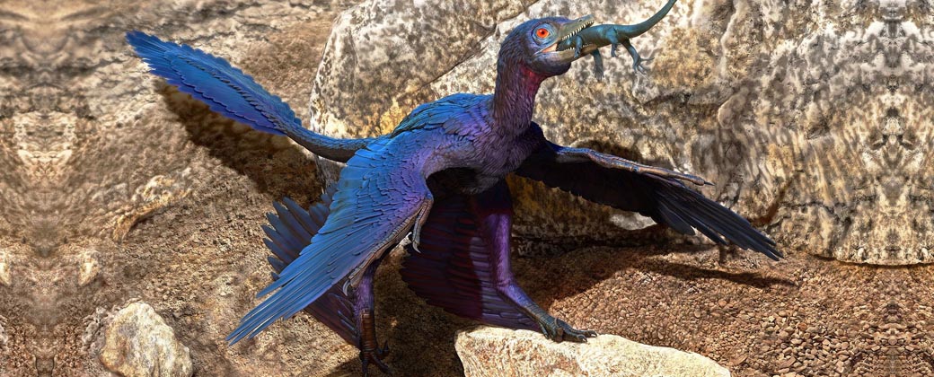 El Microraptor habitó lo que actualmente es China hace 120 millones de años. Créditos: Doyle Trankina.