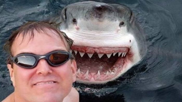 Selfies mortales: mueren más personas sacándose fotos que por ataques de tiburones. Crédito: PngWing.