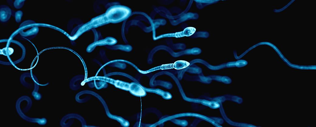 Imagen ilustrativa de espermatozoides. Créditos: Shutterstock