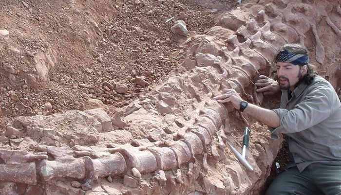 González Riga descubrió el primer dinosaurio saurópodo de Mendoza, Mendozasaurus neguyelap, y Notocolossus gonzalezparejasi, uno de los tres más grandes del mundo. Créditos: UNCUYO.