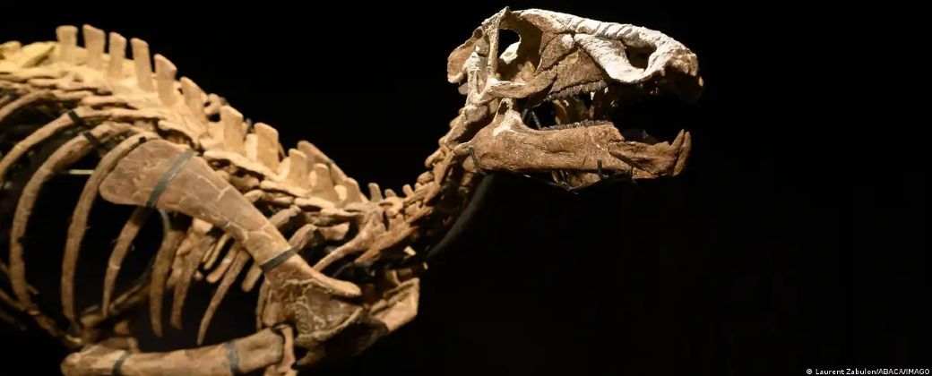 La paleontología, a 200 años de la primera descripción de un dinosaurio