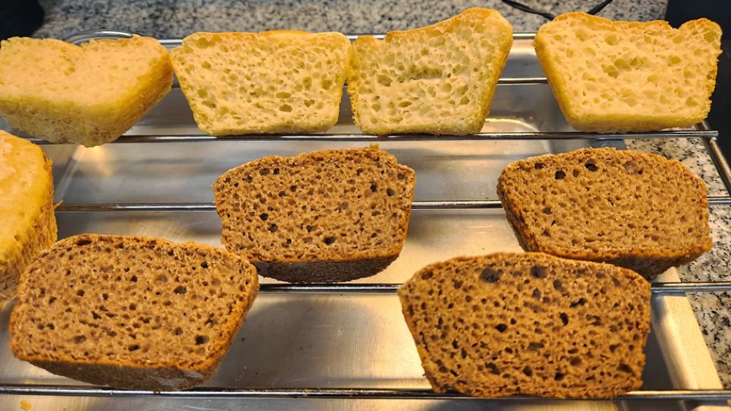 Pan con harina de teff germinada. Créditos: Gentileza investigadores.