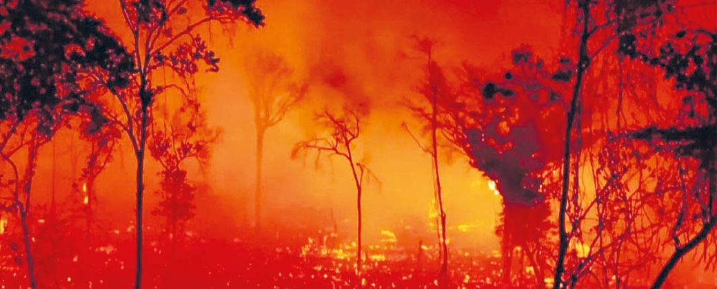 Los incendios forestales ya quemaron miles de hectáreas en Brasil. Créditos: Relac Siss