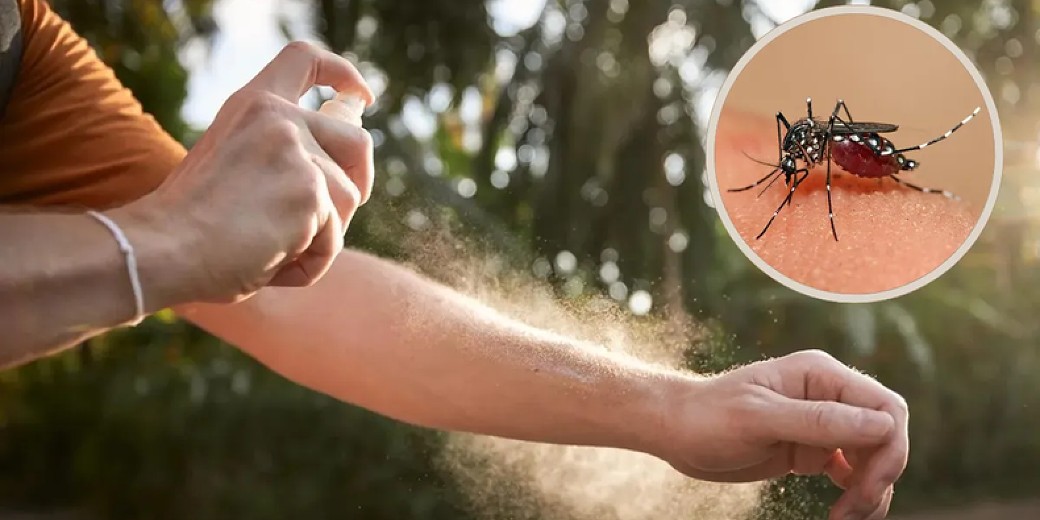 El uso de repelentes, el descacharro y mantener el césped corto son algunas de las medidas para prevenir el contagio de dengue. Créditos: El Ancasti.