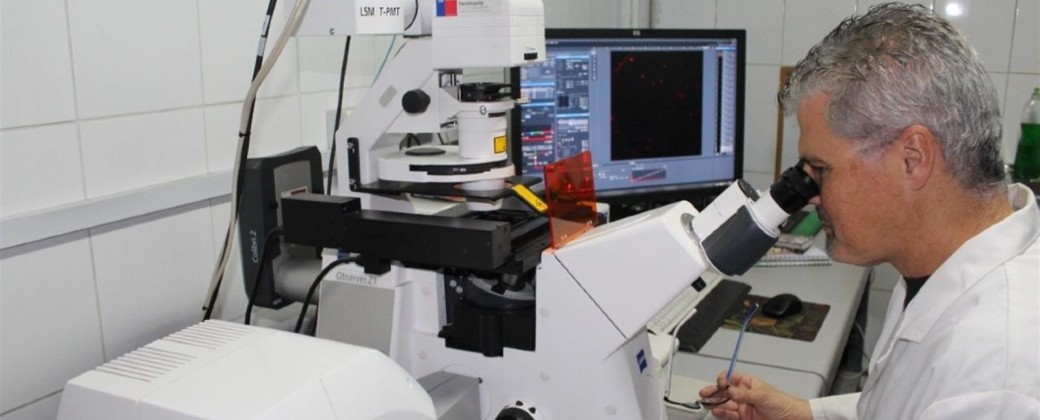 La inversión de América Latina y el Caribe en ciencia y tecnología representó solo el 2,5 por ciento del total mundial. Créditos: Efe / Universidad de Chile.