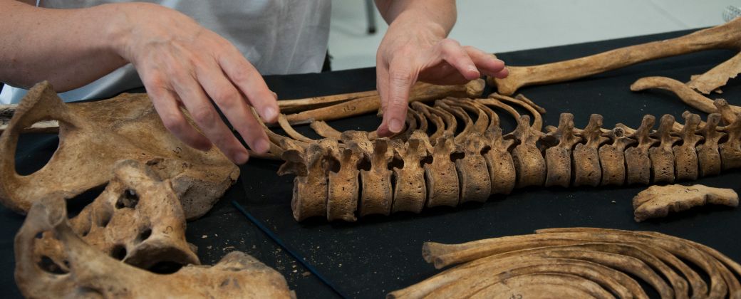 El Equipo Argentino de Antropología Forense (EAAF) es una institución científica que nació en 1984. Créditos: EAAF.