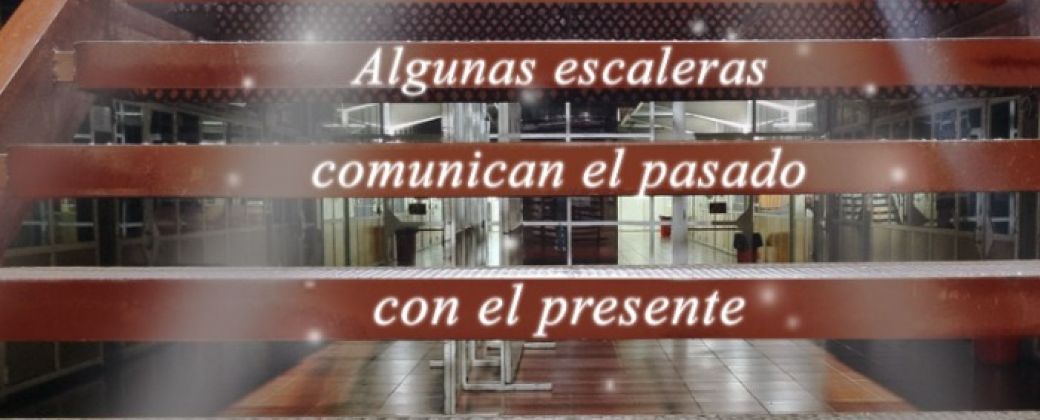 Las escaleras misteriosas y otras formas de aprender con sentido. Crédito: Valentina Olivares.