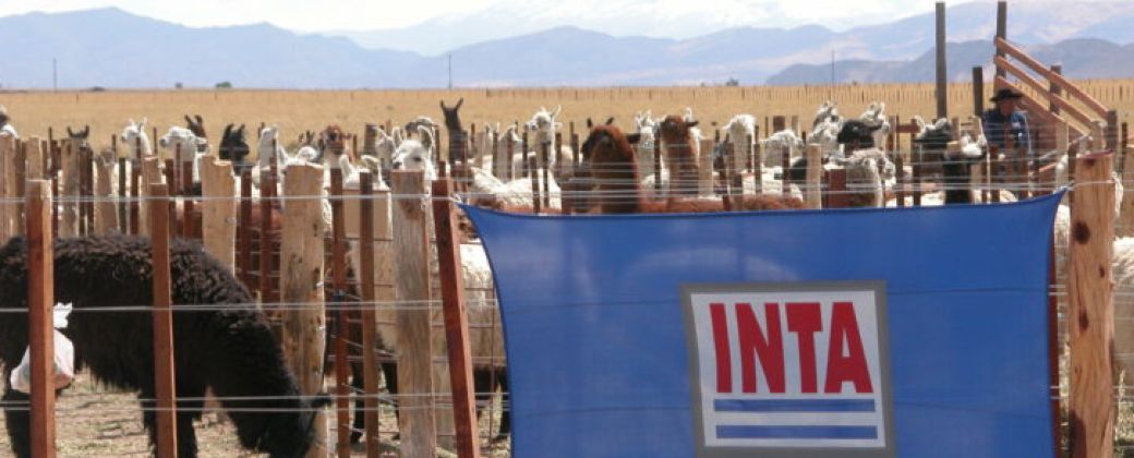 Territorio en alerta: el INTA no se toca. Crédito: Inta Informa.