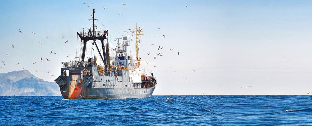 Créditos: Organización Marítima Internacional.