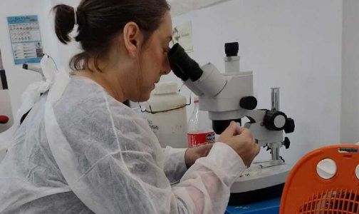 Con foco en sistemas de liberación dirigida, Nadia Chiaramoni (CONICET–UNQ) impulsó una innovación que mejoró la eficacia terapéutica sin alterar la composición de la molécula original. Crédito: UNQ.