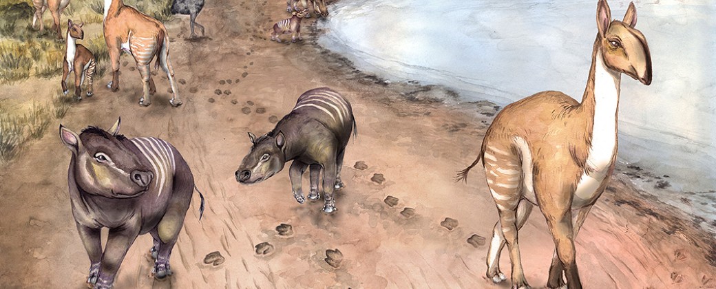 Los yacimientos de Mendoza y La Rioja revelan comportamientos sociales ocurridos en el Mioceno tardío (imagen: ilustración de Rocío Vera para nexciencia.exactas.uba.ar)