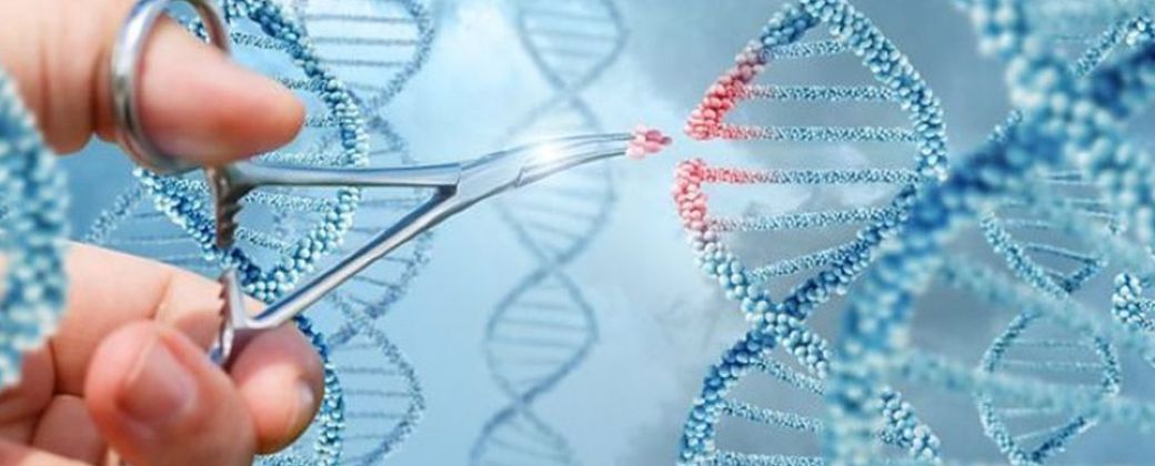 Preventive, startup de San Francisco, reunió 30 millones para pruebas genéticas preclínicas; sin embarazos. Crédito: BBC.