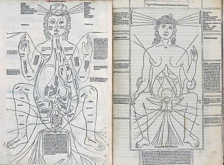 Fasciculus Medicinae. Créditos: .