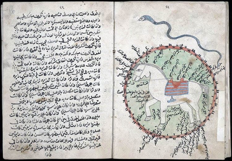 libro sobre el cuidado de los caballos. . Créditos: Biblioteca Digital Mundial