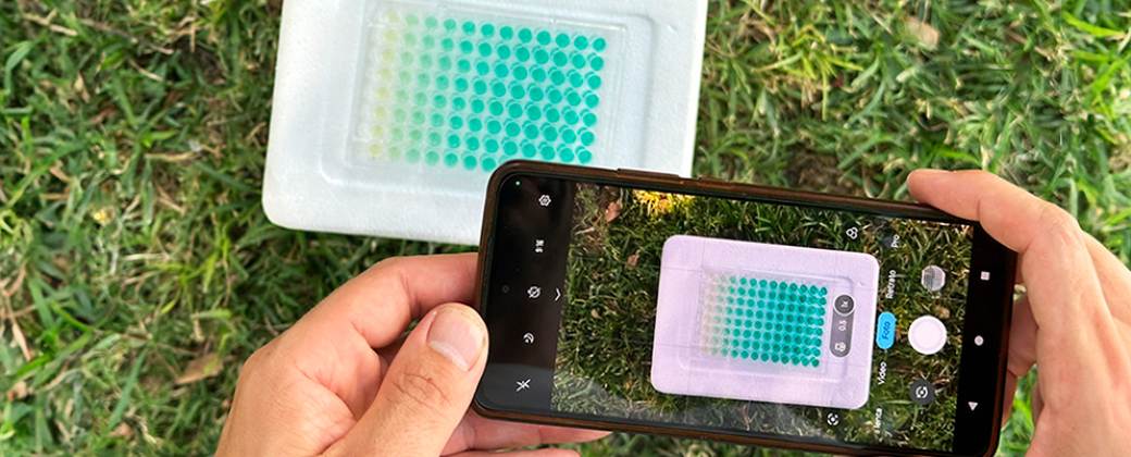 La tecnología económica, rápida y portátil para medir fosfato. Créditos: Conicet.