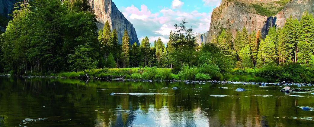 La vida secreta del planeta: miles de especies nuevas por año y un reloj que corre. Créditos: EcoCounter.