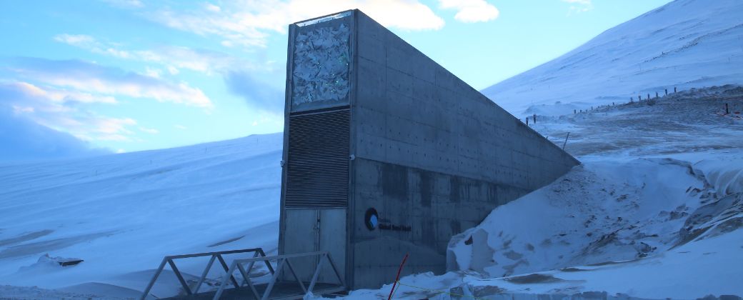 Svalbard: el banco de semillas que protege al planeta. Créditos: Seedvault.
