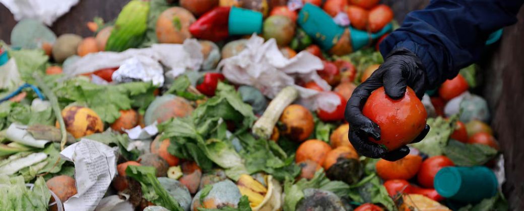 Las frutas y las verduras son los alimentos que más se desperdician. Créditos: John W. Vizcaino/VIEWpress/Corbis via Getty Images.