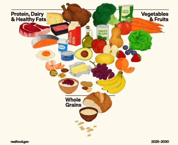 Pirámide nutricional MAHA Estados Unidos.