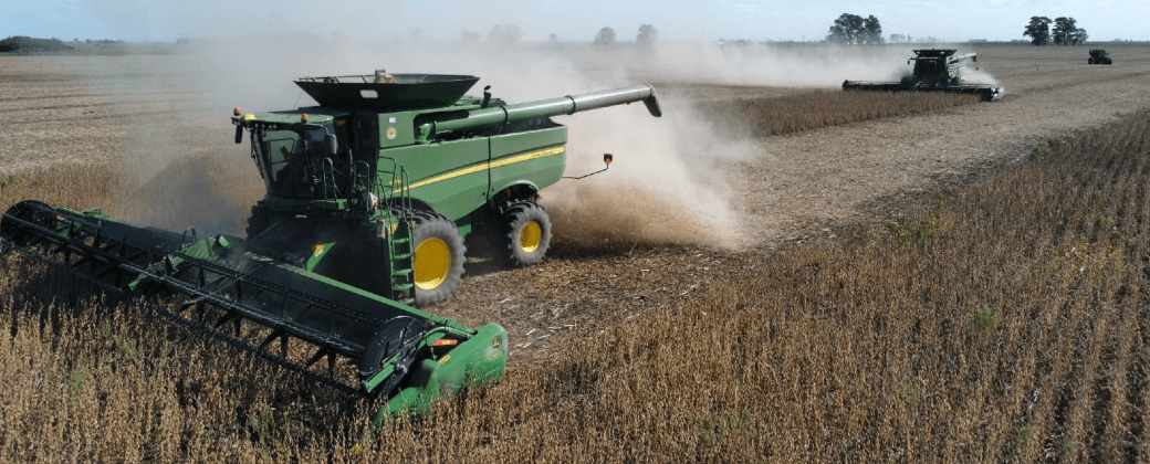 Créditos: InfoCampo.