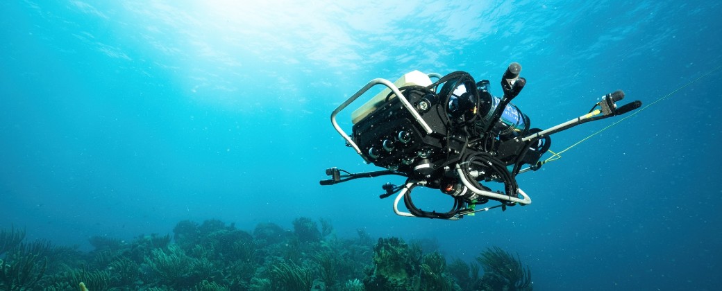 CUREE fue capaz de explorar La complejidad estructural de los corales que brindan refugio a las especies del fondo del mar (imagen: blogs.nvidia.com)