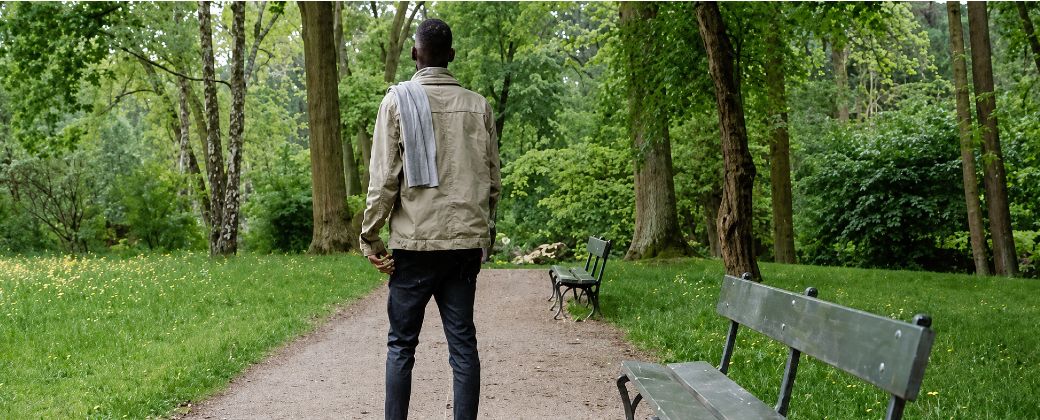 El llamado “baño de bosque” estudia cómo los ambientes arbolados impactan en hormonas vinculadas al estrés. Créditos: Pexels.