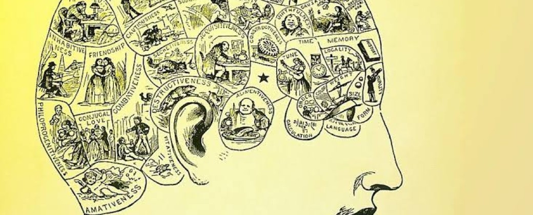 Al palpar el cráneo, según la frenología, podían determinarse características de la personalidad (imagen: Levante-El Mercantil Valenciano)