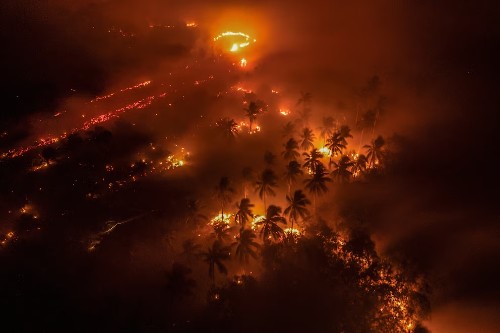 Incendios en Indonesia afectan a las poblaciones locales y de alrededores y a la fauna silvestre. Créditos: Reuters.